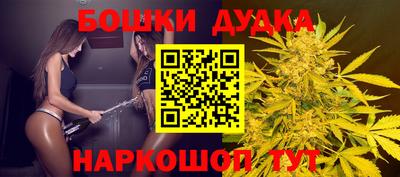альфа пвп Заводоуковск