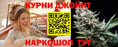 альфа пвп Заводоуковск