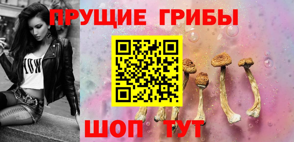 Псилоцибиновые грибы мицелий Магнитогорск