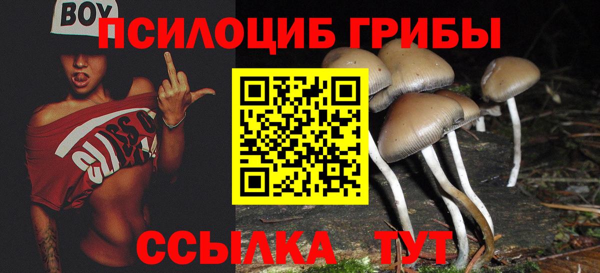 Галлюциногенные грибы прущие грибы  Вход с VPN  Магнитогорск  Галлюциногенные грибы мухоморы 